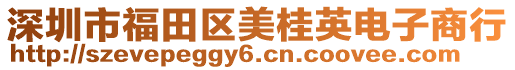 深圳市福田區(qū)美桂英電子商行
