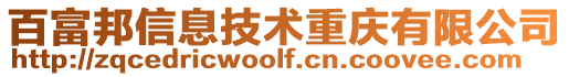 百富邦信息技術(shù)重慶有限公司