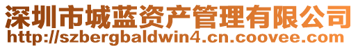 深圳市城藍資產管理有限公司