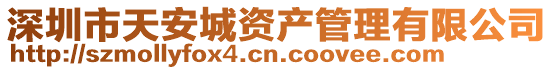 深圳市天安城資產(chǎn)管理有限公司
