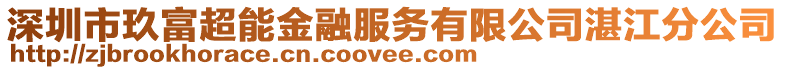 深圳市玖富超能金融服務(wù)有限公司湛江分公司