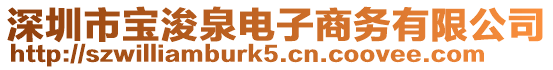 深圳市寶浚泉電子商務有限公司