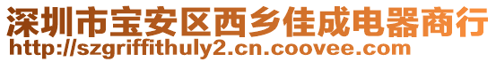 深圳市寶安區西鄉佳成電器商行