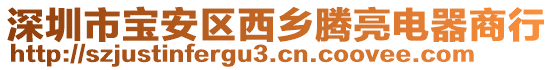 深圳市寶安區西鄉騰亮電器商行