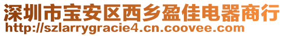 深圳市寶安區(qū)西鄉(xiāng)盈佳電器商行