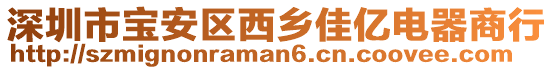 深圳市寶安區西鄉佳億電器商行