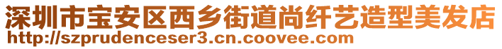 深圳市寶安區西鄉街道尚纖藝造型美發店