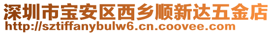 深圳市寶安區(qū)西鄉(xiāng)順新達(dá)五金店