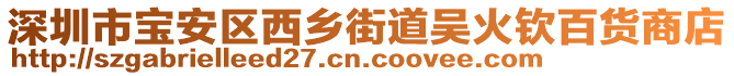 深圳市寶安區(qū)西鄉(xiāng)街道吳火欽百貨商店
