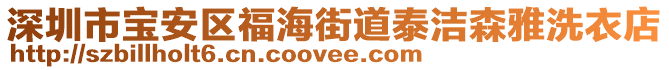 深圳市寶安區福海街道泰潔森雅洗衣店