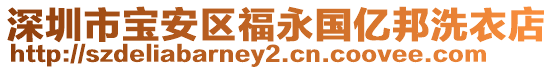 深圳市寶安區福永國億邦洗衣店