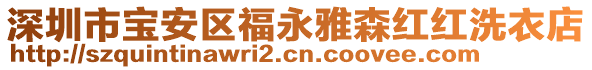 深圳市寶安區(qū)福永雅森紅紅洗衣店