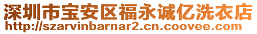 深圳市寶安區福永誠億洗衣店