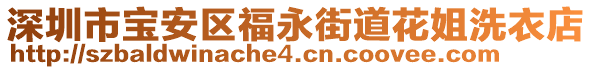 深圳市寶安區(qū)福永街道花姐洗衣店