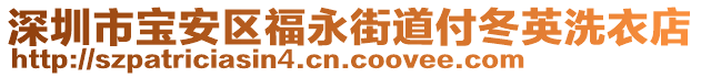 深圳市寶安區福永街道付冬英洗衣店