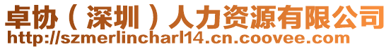 卓協(深圳)人力資源有限公司