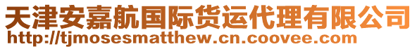 天津安嘉航國際貨運(yùn)代理有限公司