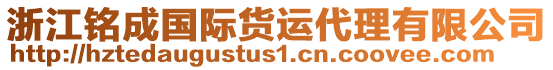 浙江銘成國(guó)際貨運(yùn)代理有限公司