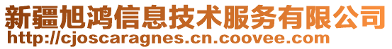 新疆旭鴻信息技術(shù)服務(wù)有限公司