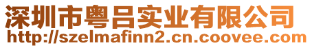 深圳市粵呂實(shí)業(yè)有限公司