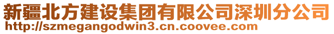 新疆北方建設集團有限公司深圳分公司