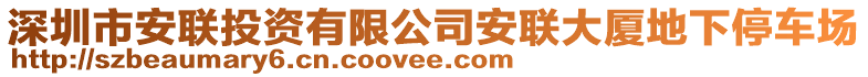 深圳市安聯(lián)投資有限公司安聯(lián)大廈地下停車場