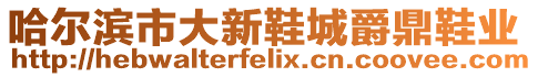 哈爾濱市大新鞋城爵鼎鞋業(yè)