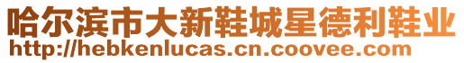 哈爾濱市大新鞋城星德利鞋業