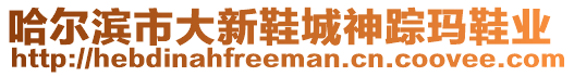 哈爾濱市大新鞋城神蹤瑪鞋業(yè)