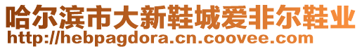 哈爾濱市大新鞋城愛(ài)非爾鞋業(yè)