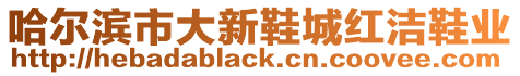 哈爾濱市大新鞋城紅潔鞋業(yè)