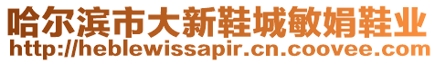 哈爾濱市大新鞋城敏娟鞋業(yè)