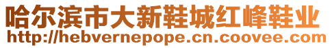 哈爾濱市大新鞋城紅峰鞋業(yè)