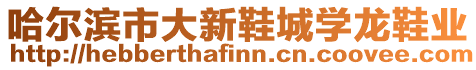 哈爾濱市大新鞋城學龍鞋業(yè)