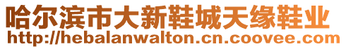 哈爾濱市大新鞋城天緣鞋業(yè)