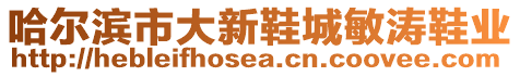 哈爾濱市大新鞋城敏濤鞋業(yè)