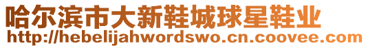 哈爾濱市大新鞋城球星鞋業(yè)