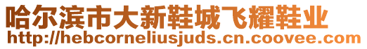 哈爾濱市大新鞋城飛耀鞋業(yè)