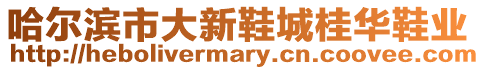 哈爾濱市大新鞋城桂華鞋業(yè)