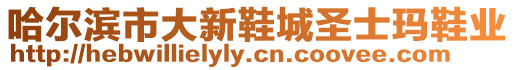 哈爾濱市大新鞋城圣士瑪鞋業(yè)