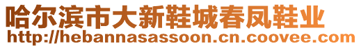 哈爾濱市大新鞋城春鳳鞋業(yè)