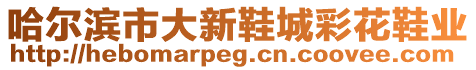 哈爾濱市大新鞋城彩花鞋業(yè)