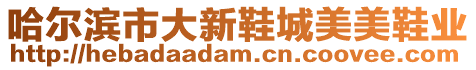 哈爾濱市大新鞋城美美鞋業(yè)