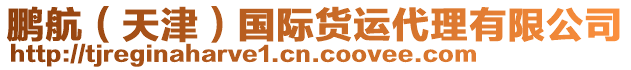 鵬航(天津)國際貨運(yùn)代理有限公司