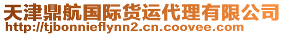 天津鼎航國(guó)際貨運(yùn)代理有限公司