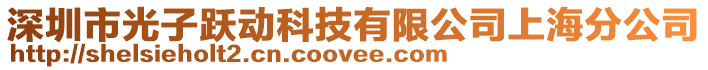 深圳市光子躍動科技有限公司上海分公司