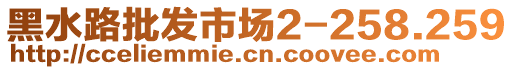 黑水路批發(fā)市場2-258.259