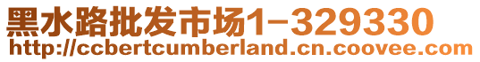 黑水路批發(fā)市場1-329330