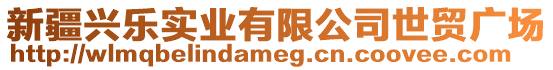 新疆興樂實業(yè)有限公司世貿(mào)廣場
