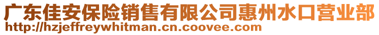 廣東佳安保險銷售有限公司惠州水口營業(yè)部